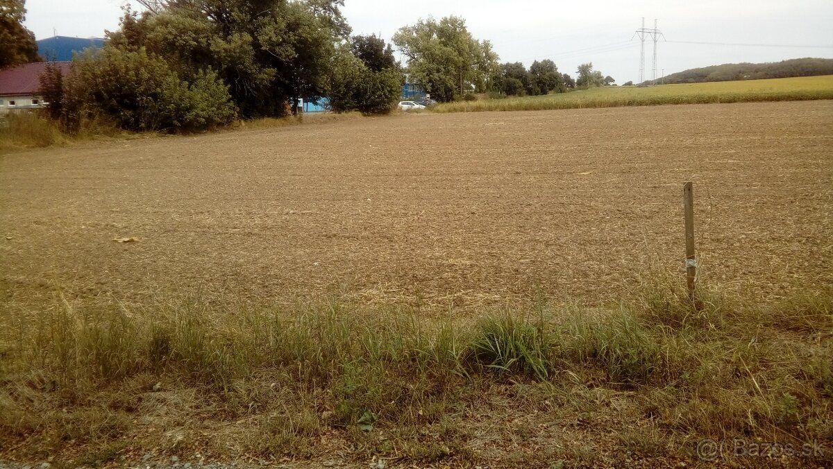 Ponúkam na predaj pozemok s celkovou výmerou 20 000 m² (2 ha