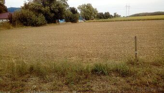 Ponúkam na predaj pozemok s celkovou výmerou 20 000 m² (2 ha