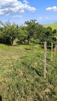 Ponúkam na predaj záhradku 400 m2, ktorá sa nachádza v tiche