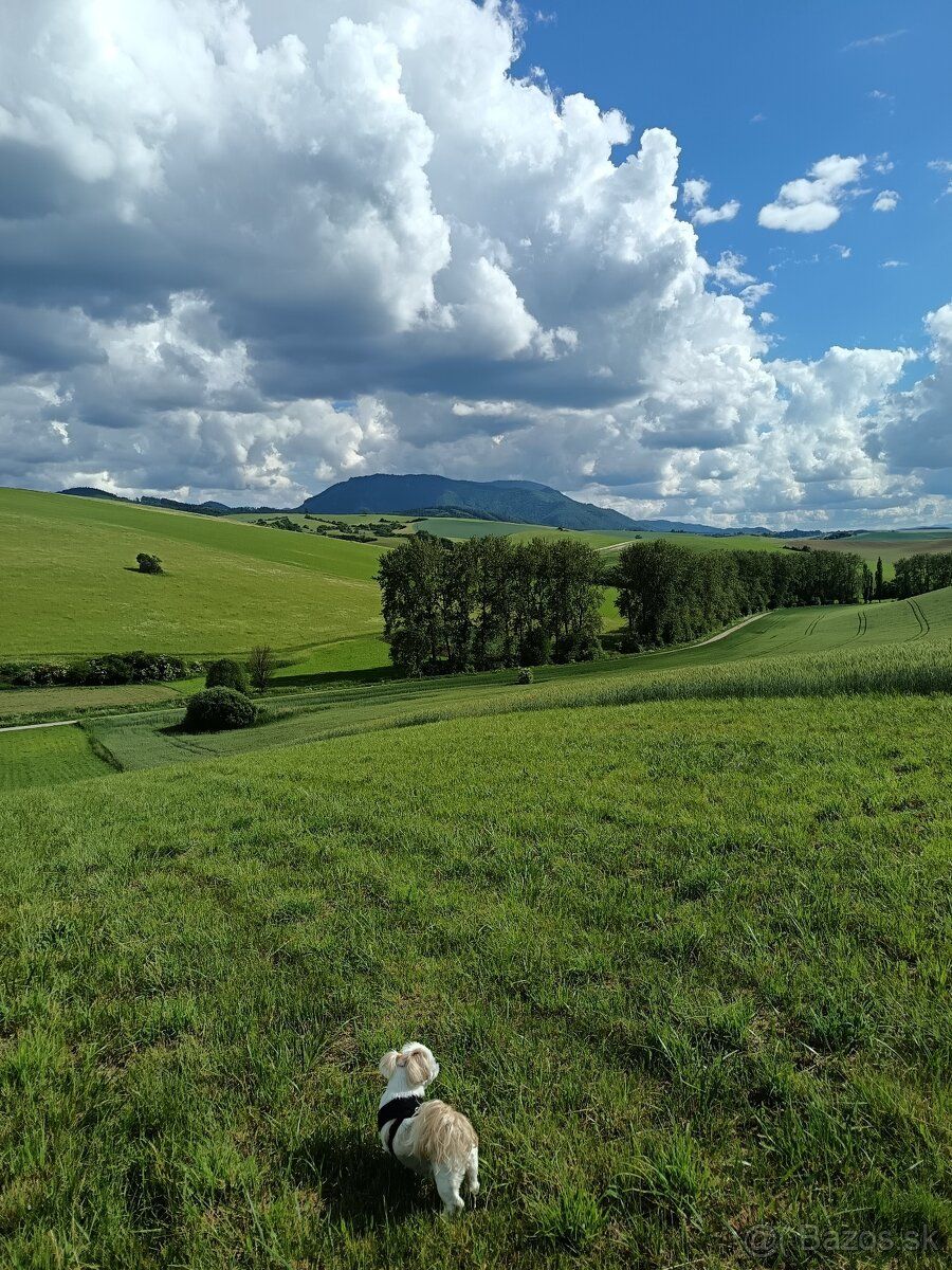 Predám pozemky, orná pôda jeden má 12 849m2 cena 12€ za m2 a