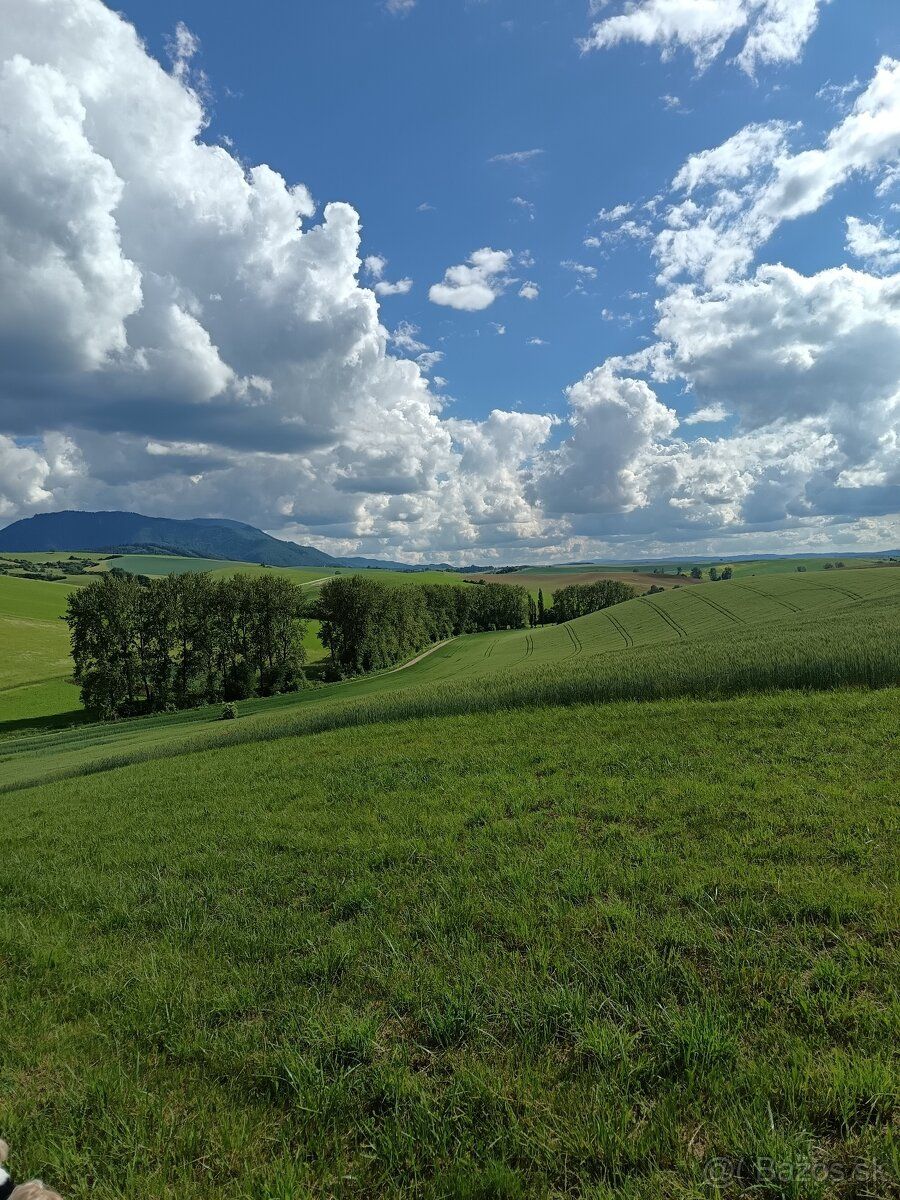 Predám pozemky, orná pôda jeden má 12 849m2 cena 12€ za m2 a
