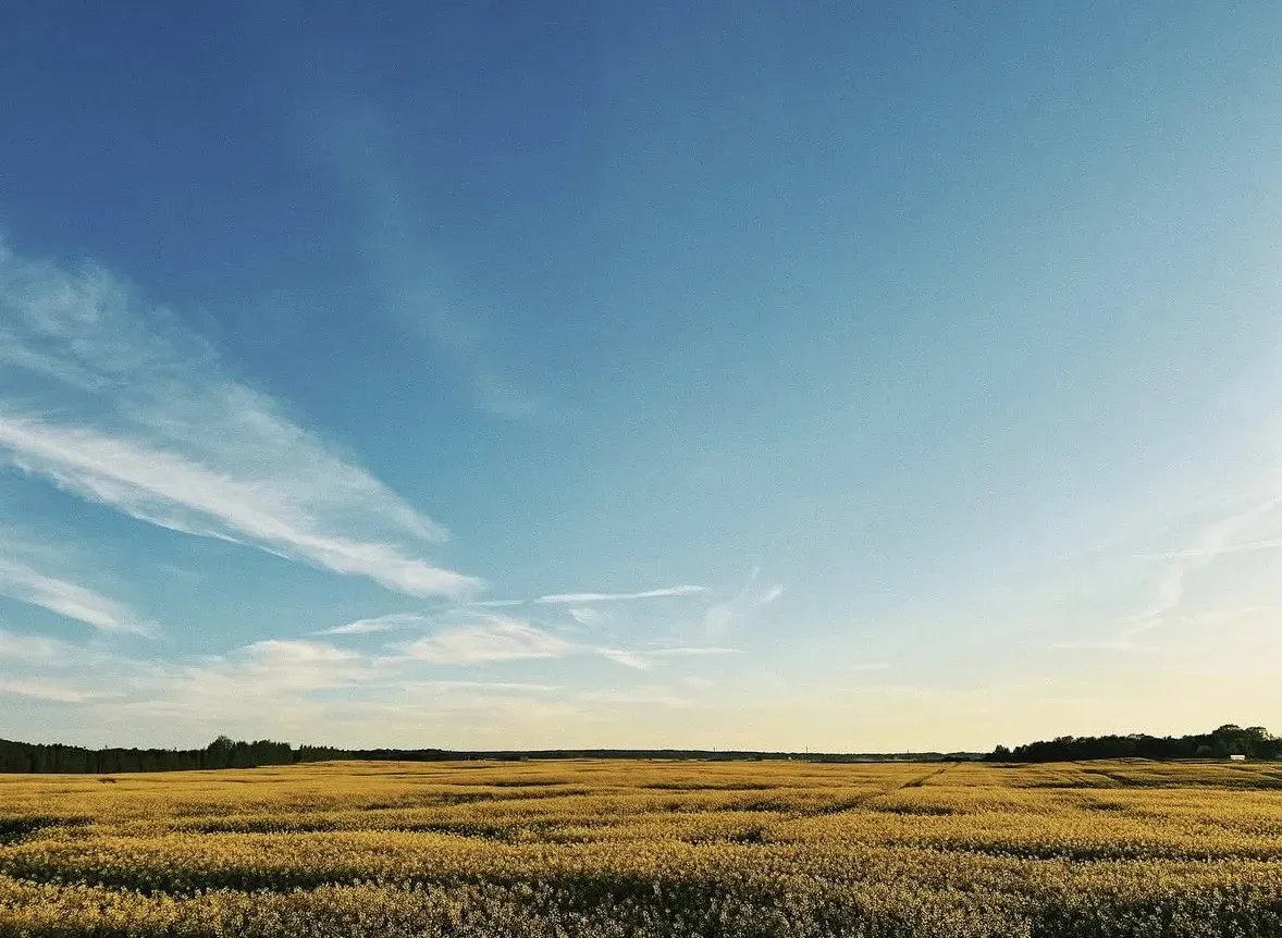 Spoločnosť Slovak Estate s.r.o. ponúka na predaj spoluvlastn