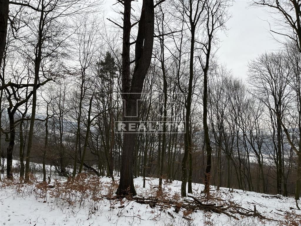 TUreality ponúka na predaj jedinečný pozemok o výmere 3 959 