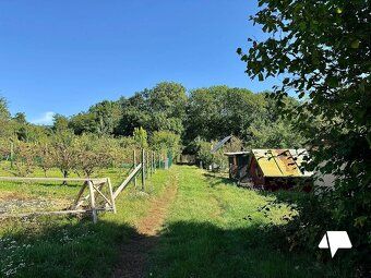 Na predaj pekná záhrada v blízkosti lesa, dosahu MHD, Štitár