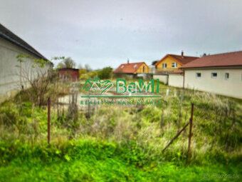 Vstúp do sveta pokoja, kde sa agát, buk, dub a hrab spájajú 
