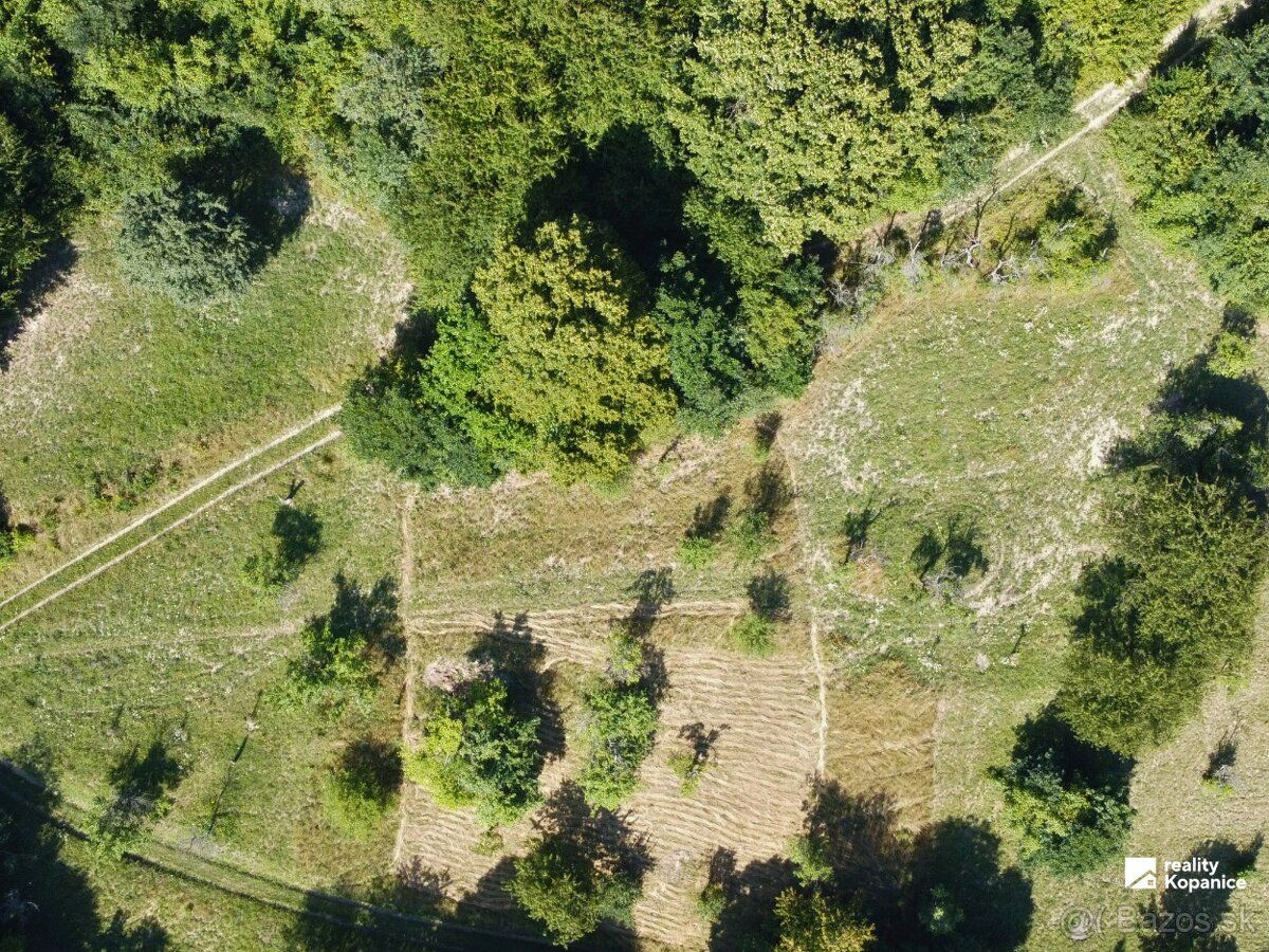 Ponúkame na predaj poľnohospodárske pozemky v katastrálnom ú