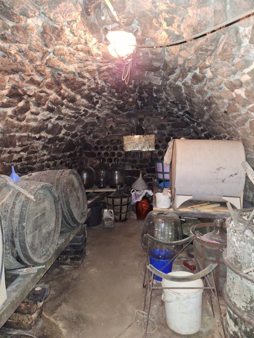 Predám vinohradnícky dom v Skalici, lokalita Žebráky, postav