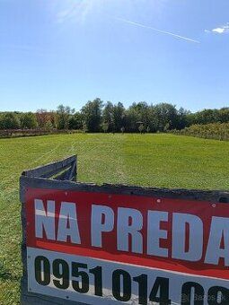 LIONREAL Vám ponúka na predaj neďaleko Nitry (16 km od Nitry
