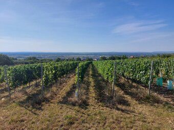 Ponúkame na predaj pozemok, situovaný na slnečnej strane vin