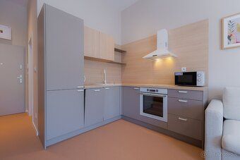 Ponúkame na prenájom priestrannú garsónku s výmerou 30 m² v 