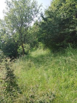 Ponúkam na predaj investičný pozemok o výmere 397 m² v rozvo