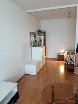Dáme do prenájmu veľký 1izb byt 49m2 s loggiou v NAJŽIAANEJŠ