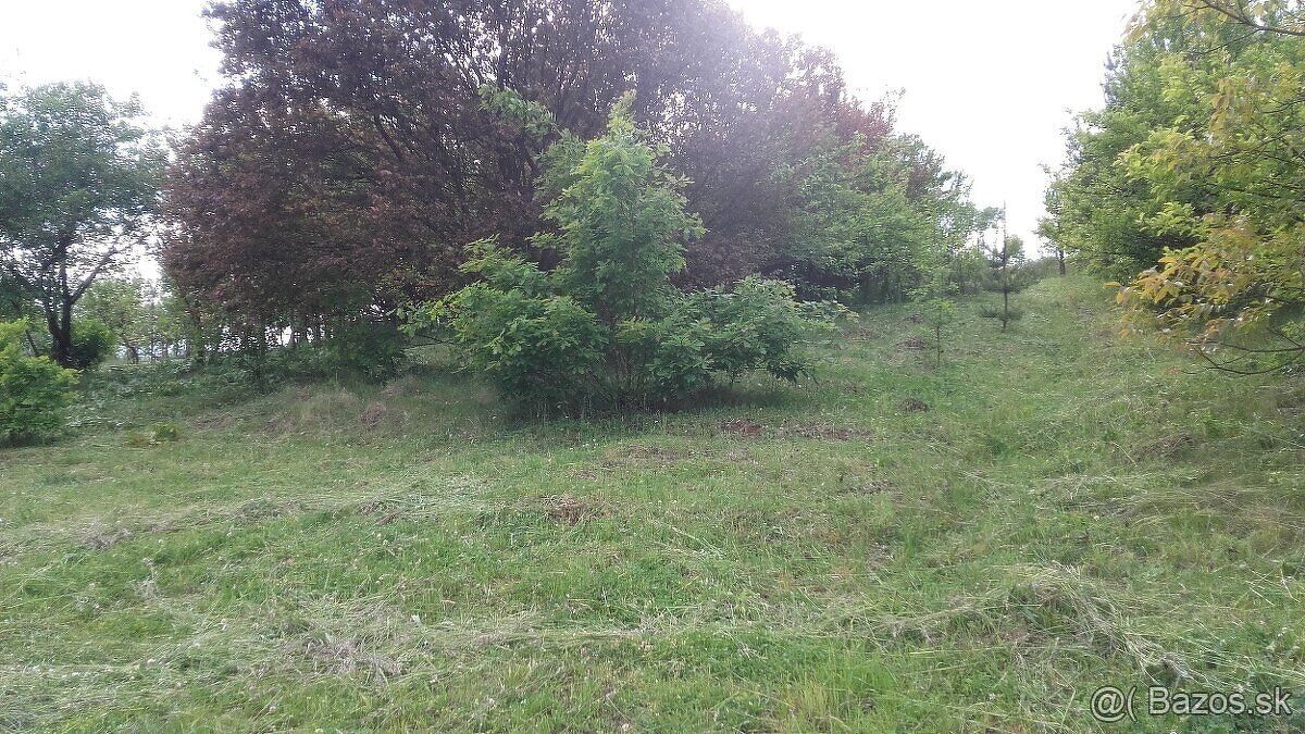 Ponúkam pozemok - záhradu 600 m2 v Kanaši na užívanie (lacný