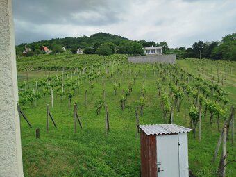 Predstavujeme Vám jedinečný vinný domček v obci Vinica, obkl