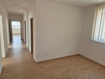 Ponúkam na prenájom priestranný 1izbový byt v centre mesta N