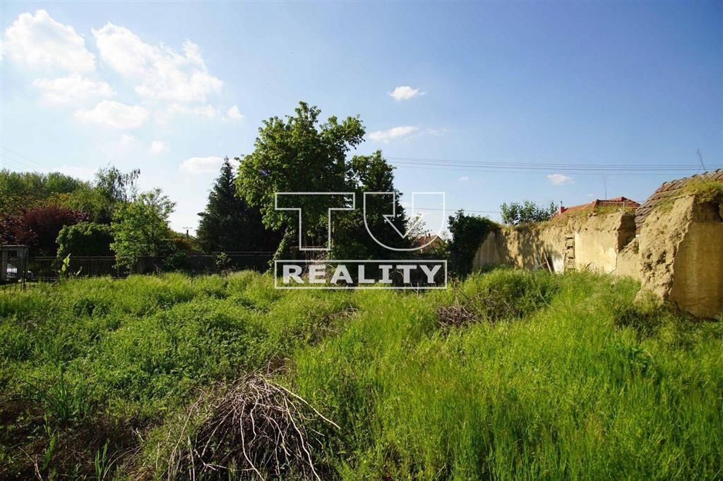 TUreality ponúka na predaj nadštandardne veľkú, rovinatú par