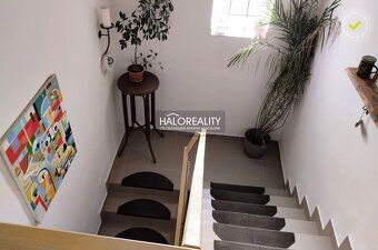 Realitná kancelária HALO reality a Rudolf Danics, kontakt: 0