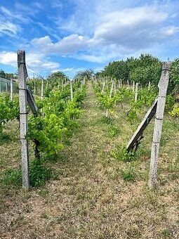 Ponúkame Vám na predaj slnečný viničný pozemok - rekreačný p