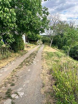 Ponúkame Vám na predaj slnečný viničný pozemok - rekreačný p