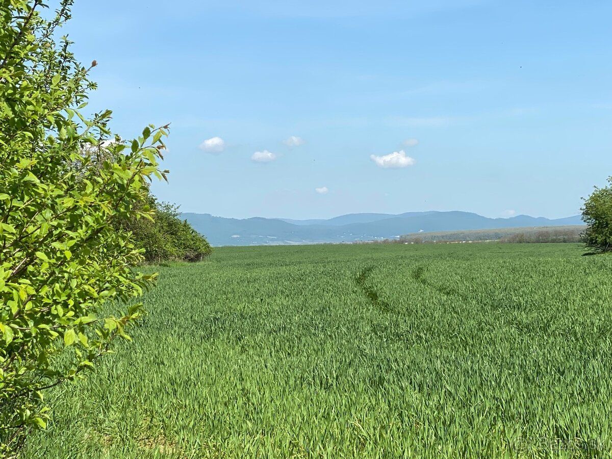 Ponúkam na predaj pozemok o rozlohe 2881 m 2 v katastri obce