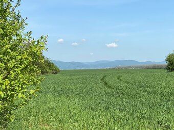 Ponúkam na predaj pozemok o rozlohe 2881 m 2 v katastri obce