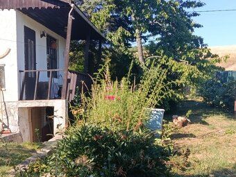 Na rovinatom pozemku s rozlohou 550m2 sa nachádza staršia mu