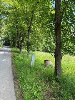 Pnúkame na preda pozemok s možnosťou stavby chatky alebo dom