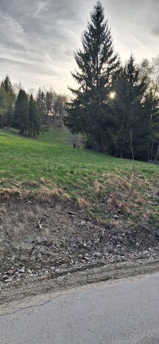 Ponúkam pozemok v peknom lesnom prostredí, nad obcov Korňa. 