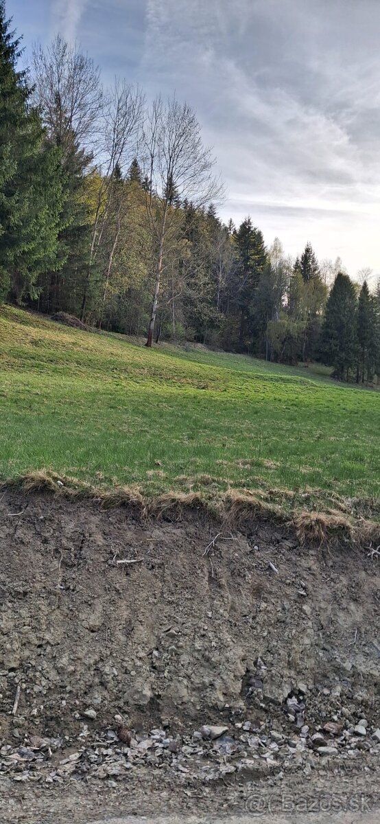 Ponúkam pozemok v peknom lesnom prostredí, nad obcov Korňa. 