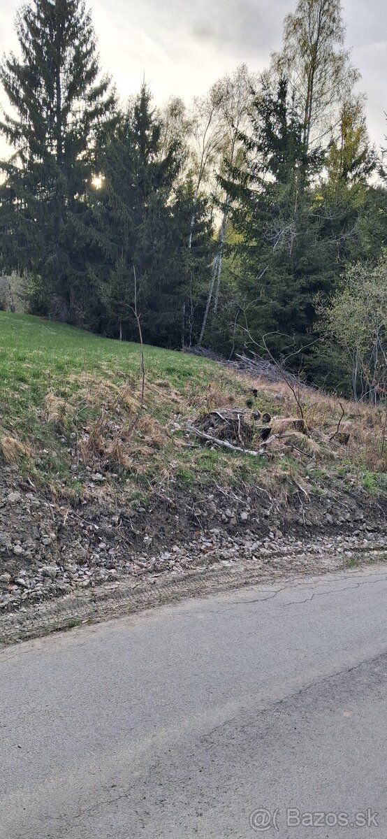 Ponúkam pozemok v peknom lesnom prostredí, nad obcov Korňa. 