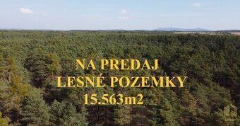 Kto predá v Borskom Mikuláši na okraji obce, pri lese, pri p