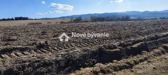 Typ: Poľnohospodárske a lesné pozemky Ulica: Východná Obec: 