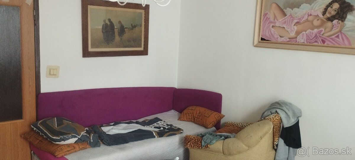 Prenajmem nepriechodnu izbu okolo 25m² za 300€ +depozit 100€