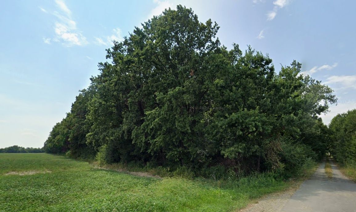 Ponúkam na predaj 2 lesné pozemky o celkovej výmere 3552 m²,