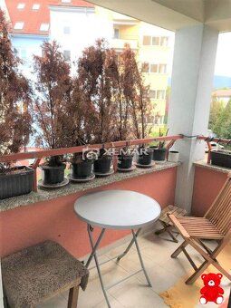 XEMAR ( alebo 0905 837 273 ) Ponúkam na prenájom kompletne z