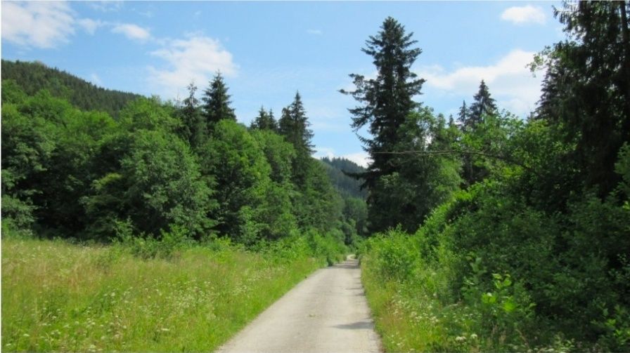 ponuknite pozemok na okraji dediny, alebo lesa rozlohou medz