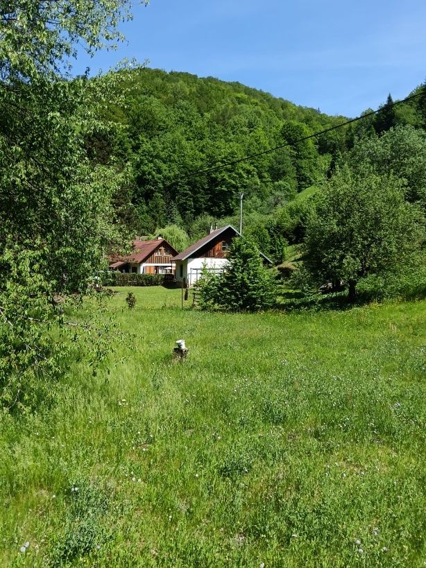 Predáme dom vhodný na investíciu a prerobenie na chalupu. Ná