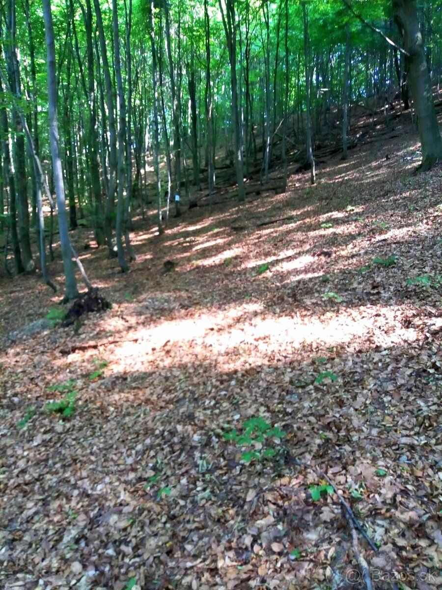 Ponúkam na predaj pozemky – druh pozemkov – orná pôda, trval