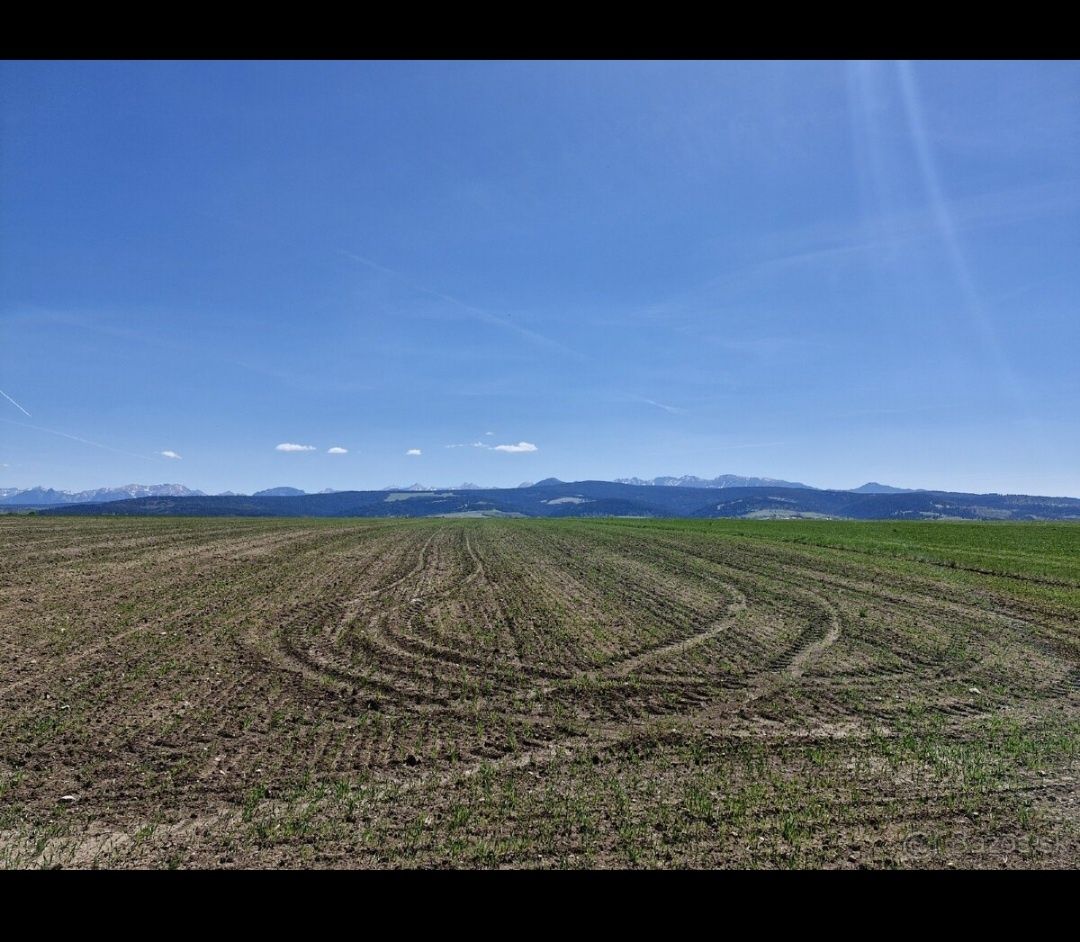Predám ornú pôdu v Trstenej. Parcela 9007/2 výmera 2583m2 . 