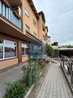 Predaj štýlovej vinotéky v talianskom štýle v Senci – 110 m²