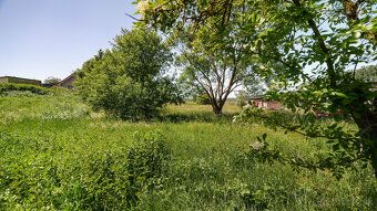 Typ: Záhrada Obec: Bohdanovce
2 509 m² pre vaše nápady, oddy
