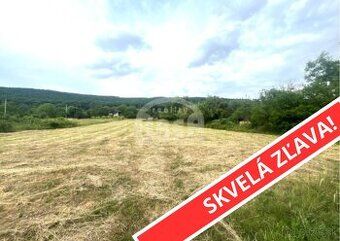 Predám spoluvlastnícke podiely v k.ú. Vinné, okres Michalovc
