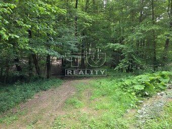 s projektom a stavebným povolením. cena 307 ... LV 810. Vola
