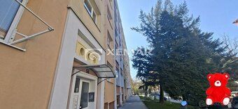 XEMAR (, 0907 537 727, 0948 061 020) ponúka na predaj dvoj i