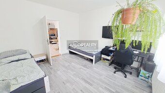 Realitná kancelária HALO reality a Bc. Lucia Vlčková, kontak