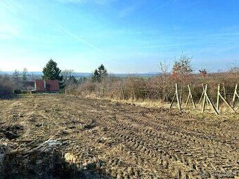 Ponúkame Vám na predaj pozemok v obci Melek vo vinohrade, 6k