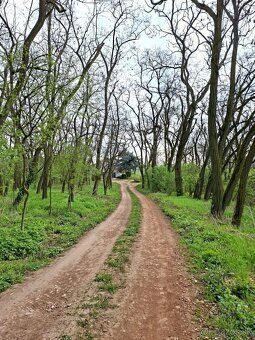 Ponúkame na predaj viničný domček v obci Melek 5km od mesta 