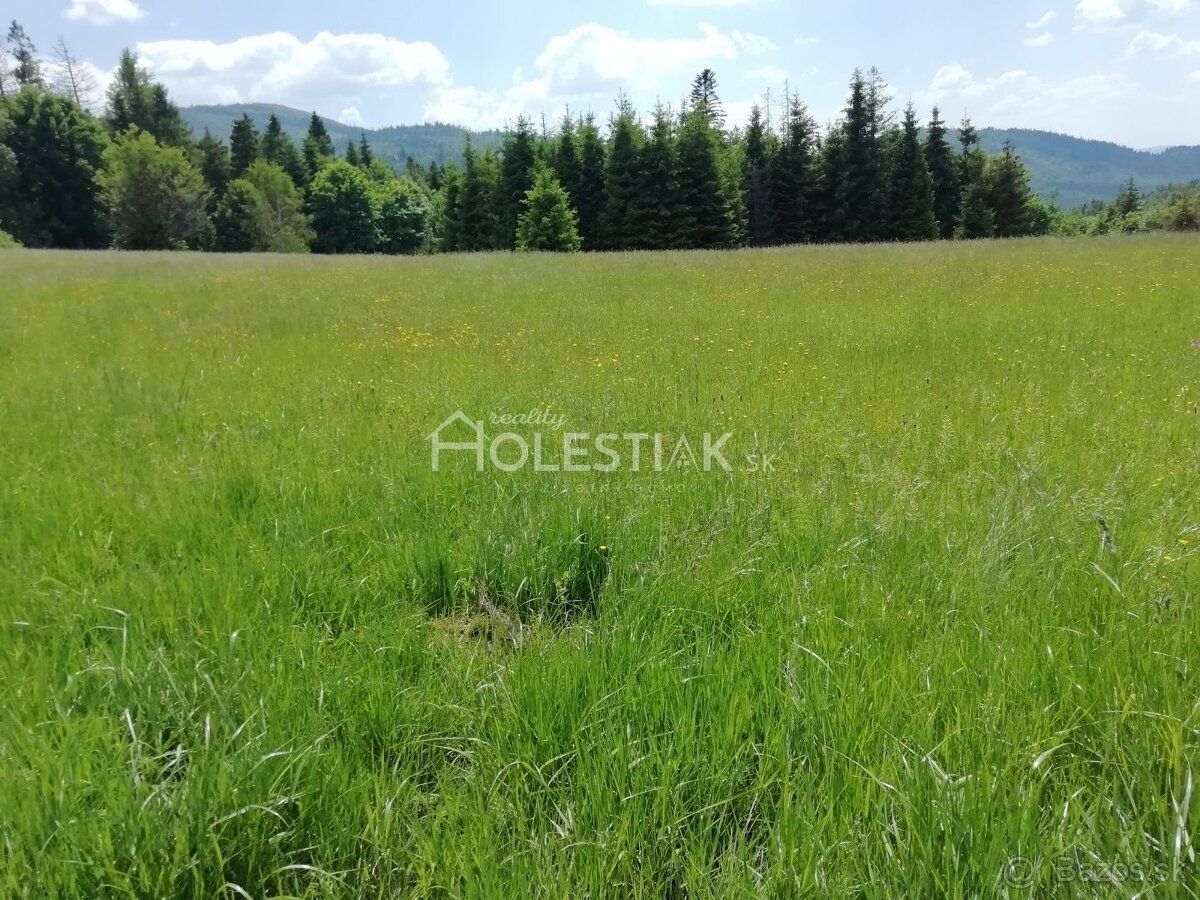 HOLESTIAK.sk reality ponúka exkluzívne na predaj dva susedia