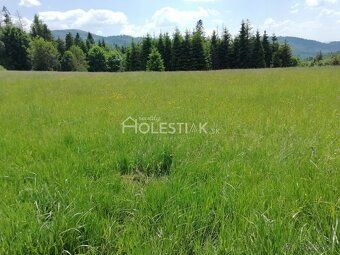 HOLESTIAK.sk reality ponúka exkluzívne na predaj dva susedia