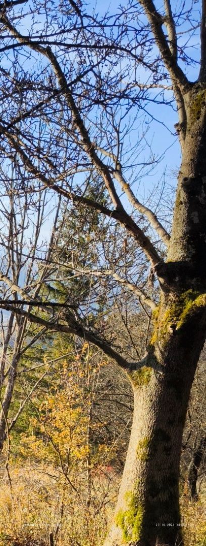 HOLESTIAK.sk reality ponúka exkluzívne na predaj pozemok pri
